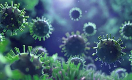 Ewgeni_rosengruen_entzuendungen_909077738