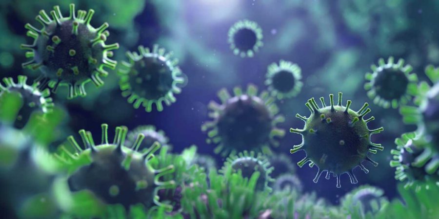 Ewgeni_rosengruen_entzuendungen_909077738